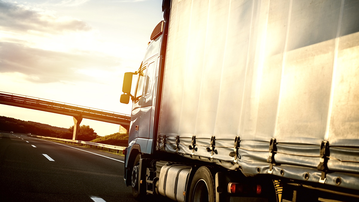 Los transportistas piden ayuda: les impiden formarse on-line 1 camiontransportista