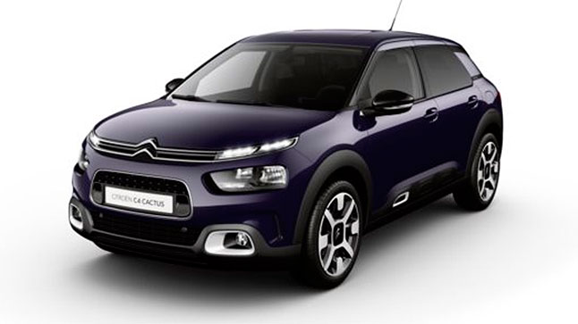 citroenc4cactus 2