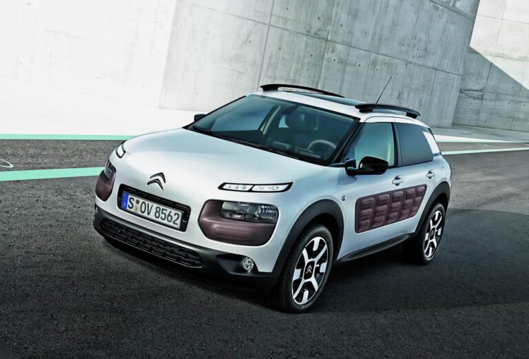 citroencactus11