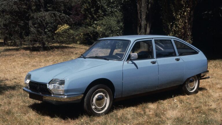 citroengsdelantera
