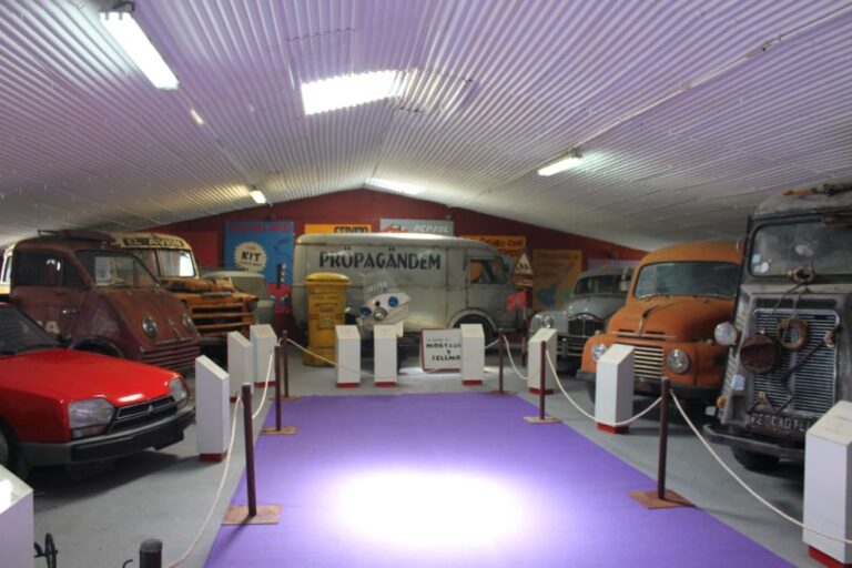 coleccion automoviles vicente pavia 1