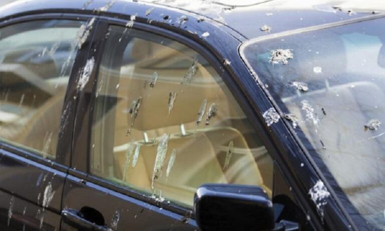 como limpiar el excremento de las aves