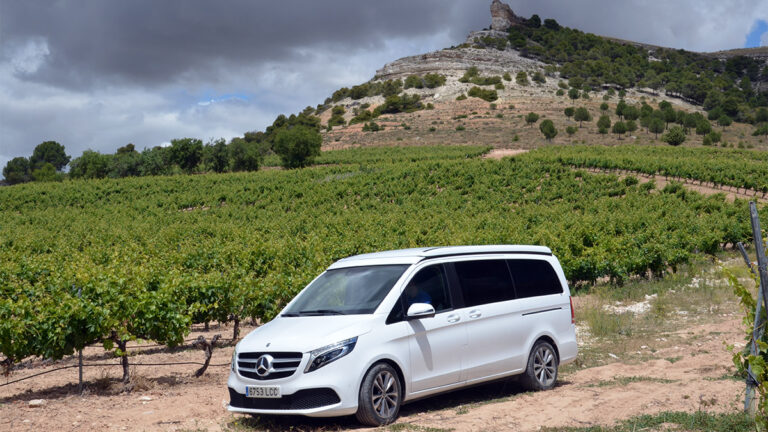 enologiaautocarvana1