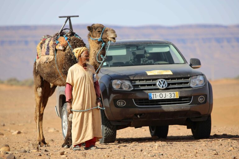 exp.cup etapa4 1 scaled 1