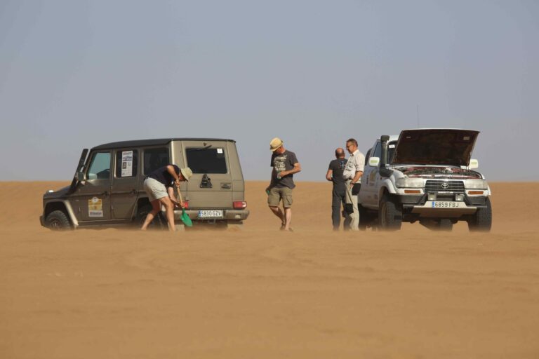 exp.cup n7 etapa4 scaled 1