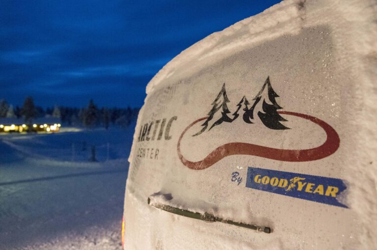 goodyear arctic centerd449087m