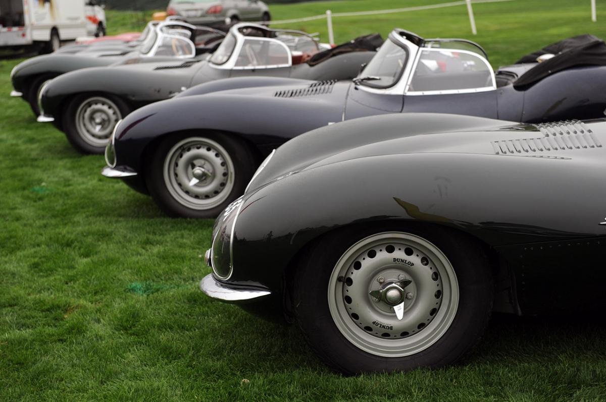 jaguar 9