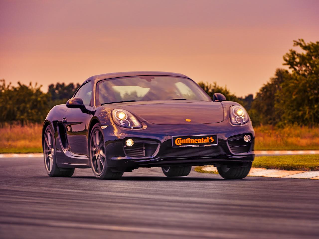 neumaticocontinental 1