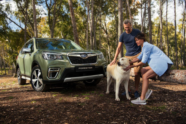 nuevo subaru forester