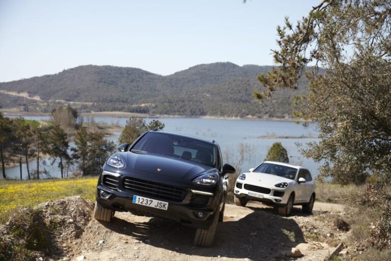 porsche cayenne 29g