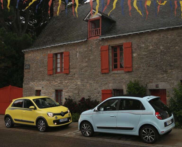 renault twingo 2015 44g 1