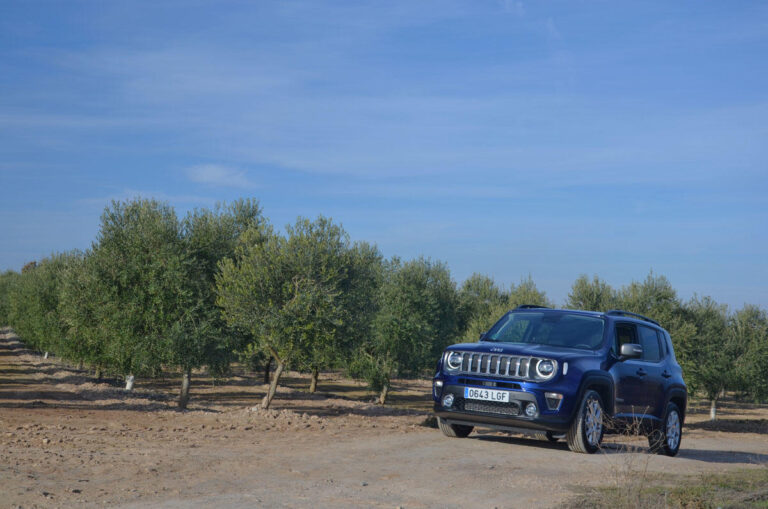ruta lleida oleoturismo garrigues 1g 1