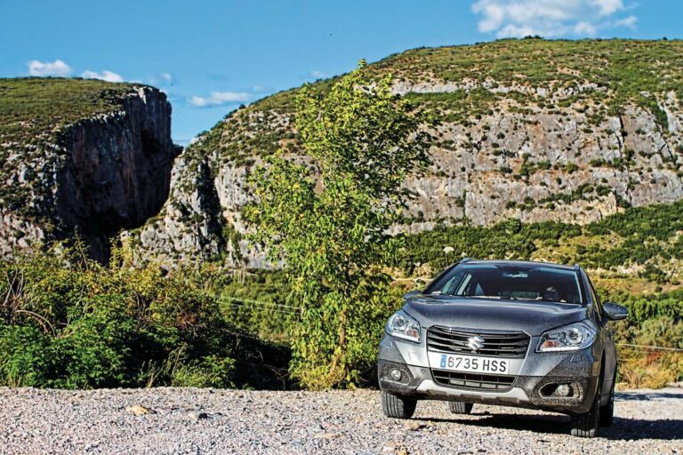 rutafozdelumbier001 1