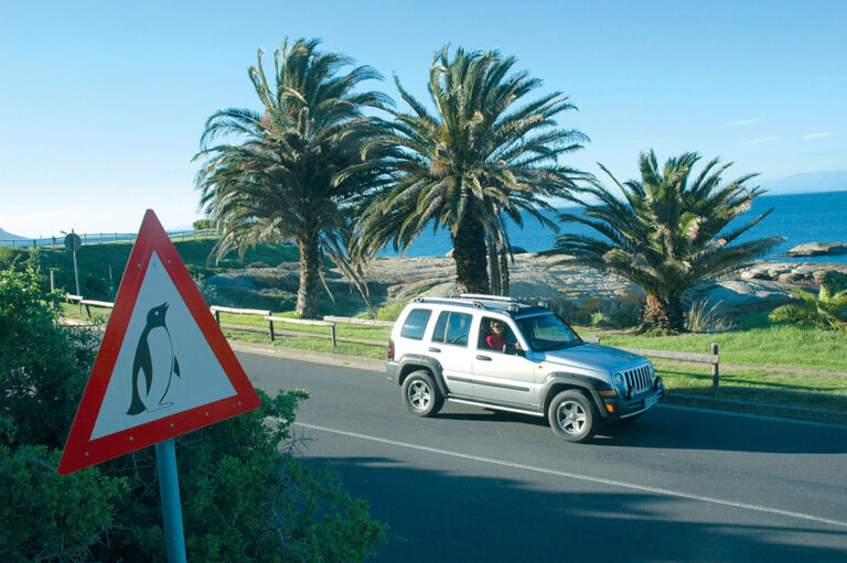 senaltraficosudafrica 1