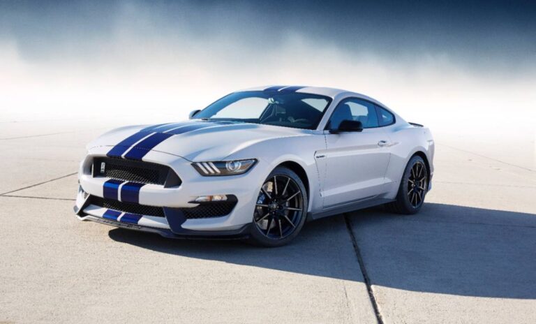 shelby07 1