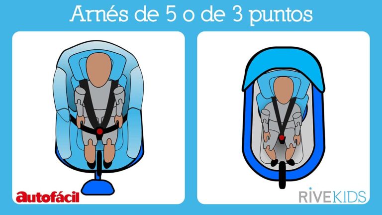 sillabebesarnes5puntos