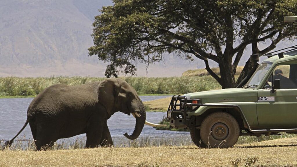 Viaje a Kenia Emilio Scotto
