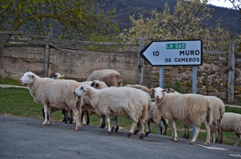Valle del Iregua