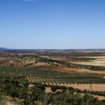 Rutas en Autocaravana: Toledo, castillos, olivos y algunos rincones secretos 2 Rutas en Autocaravana: Toledo, castillos, olivos y algunos rincones secretos