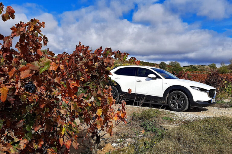 Vinedos post Vendimia Mazda CX30 09