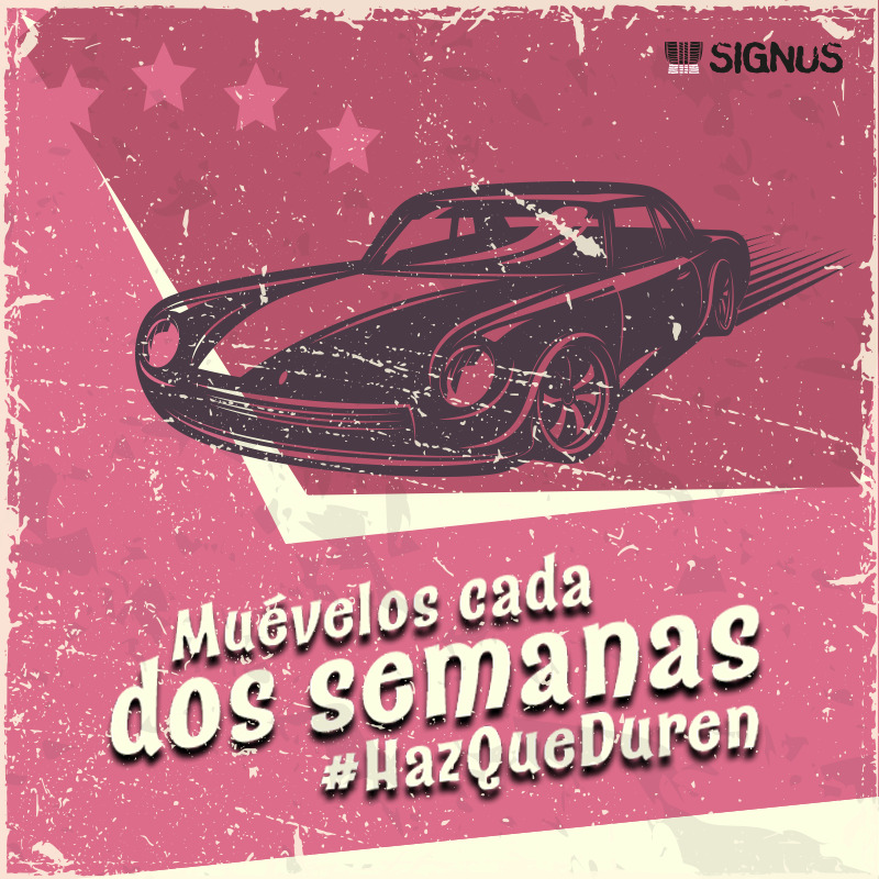 Neumáticos_signus