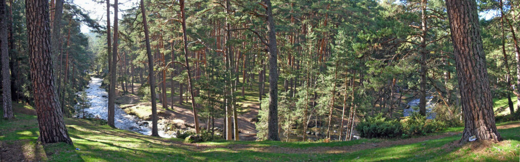 Por Segovia en Opel Crossland, Pinares Valsaín