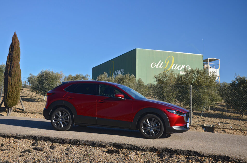 Mazda CX30, olivos, viñedos y pueblos que abrazan el Duero