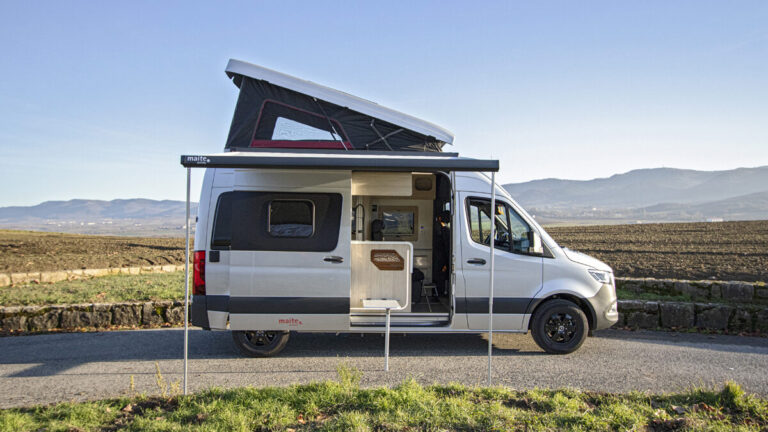 maite Activity 01 e1645693872677