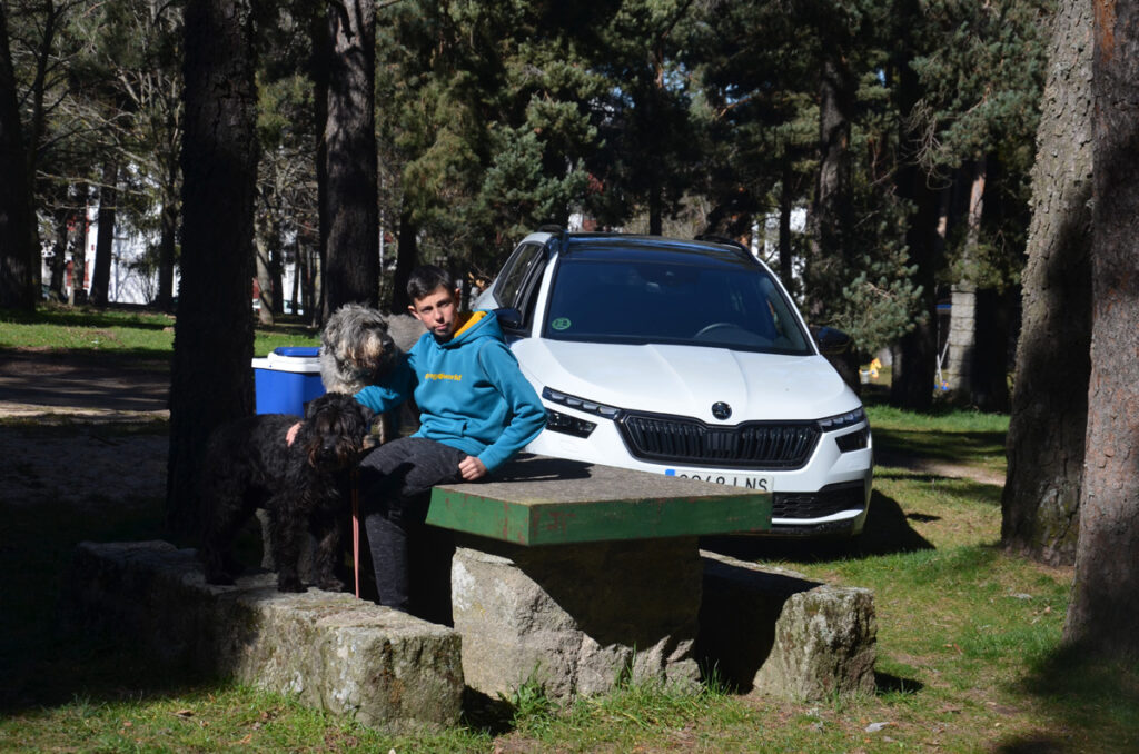 00 Skoda Kamiq perros 02