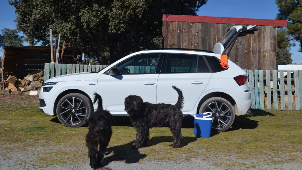 Skoda Kamiq, alojamientos pet-friendly