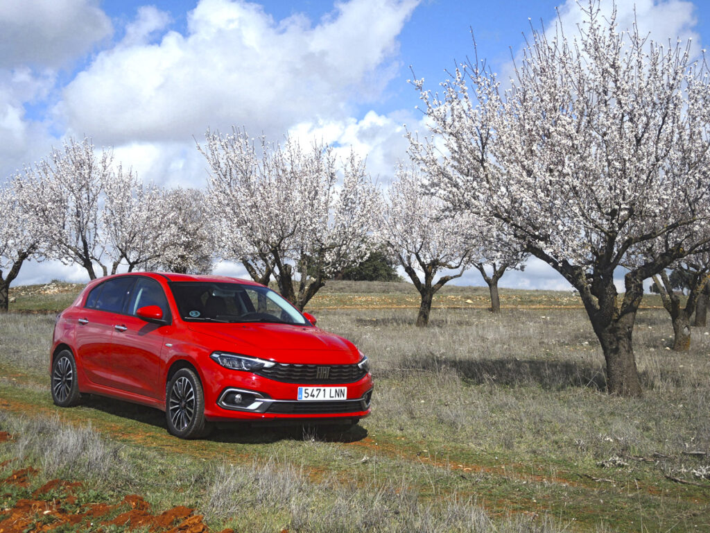 05 Chinchon 24 Fiat Tipo