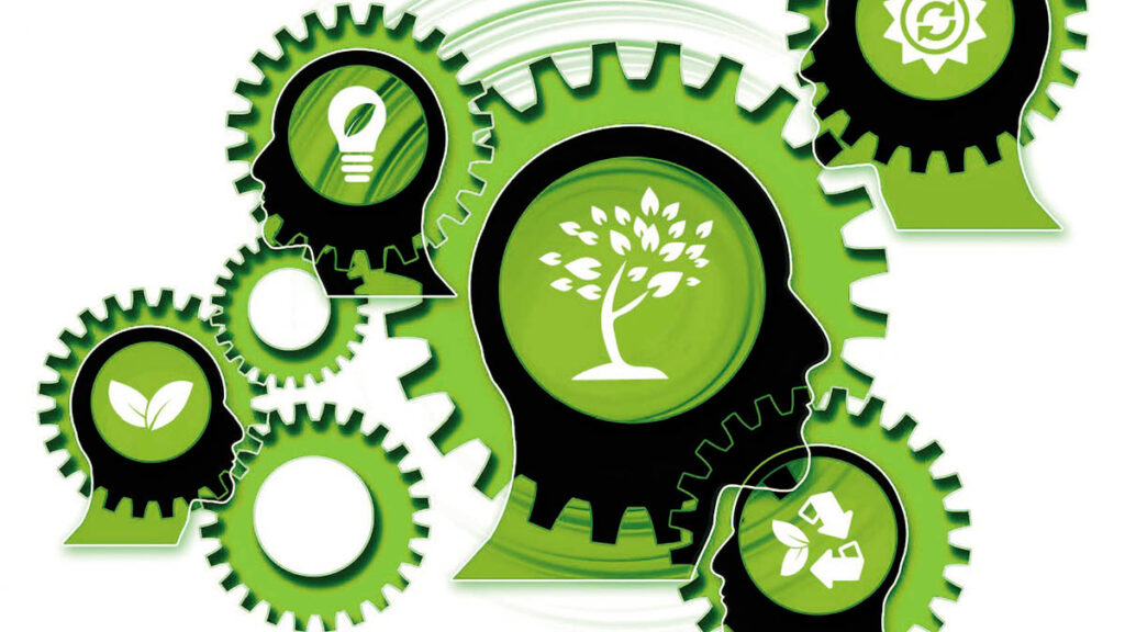 III plan empresarial