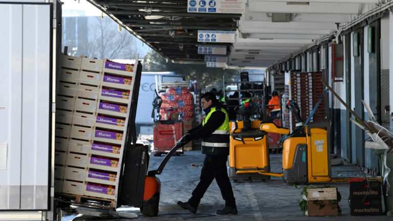 carga descarga camiones