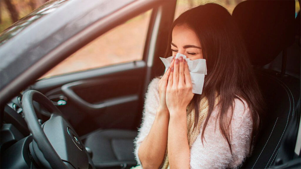 alergia El riesgo de sufrir un accidente de tráfico aumenta un 30% en conductores alérgicos
