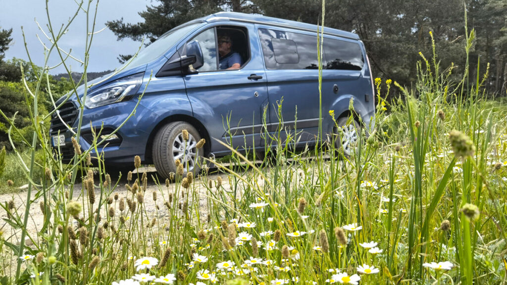 Ford Nugget Westfalia