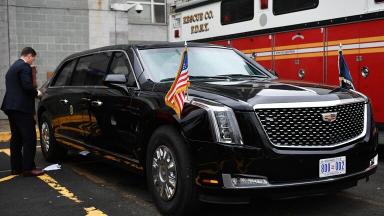 Labestia1 e1656404401108