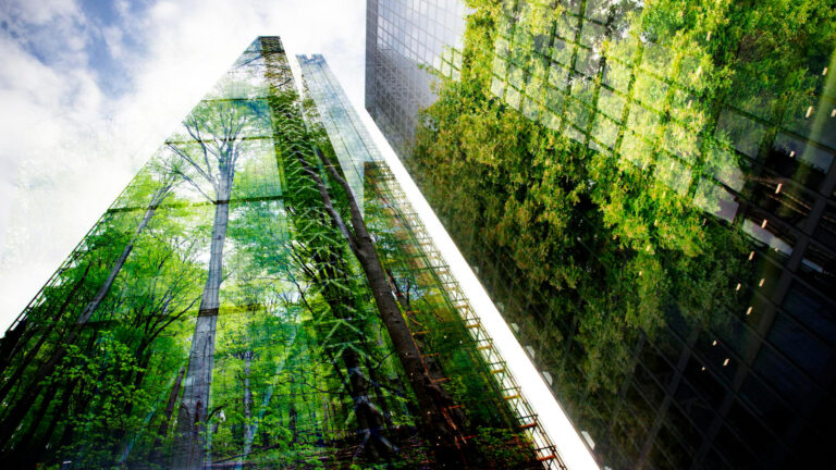 global mobility call