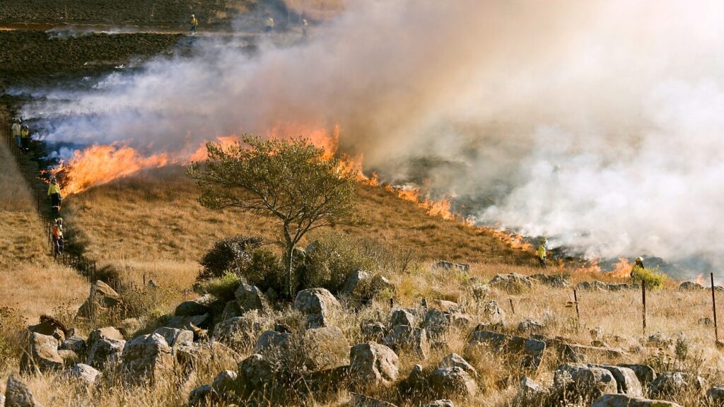 incendio coche carretera