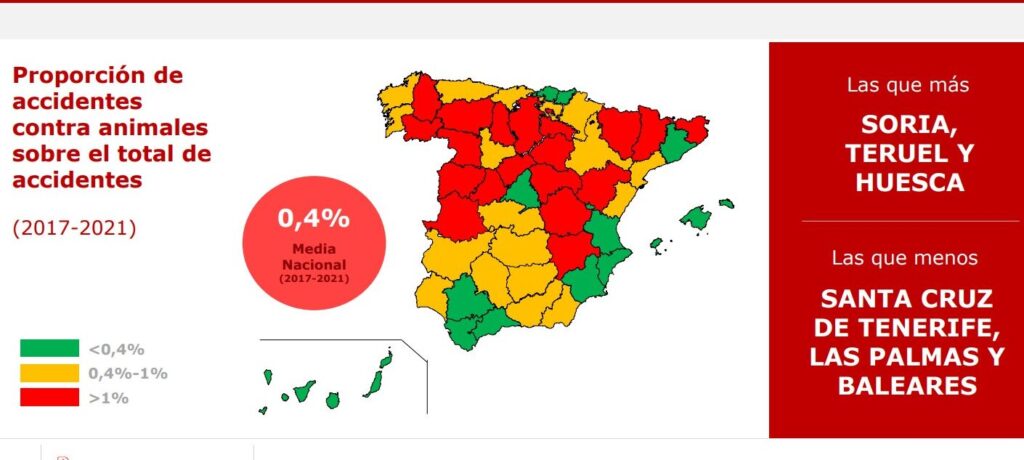 accidentes contra animales