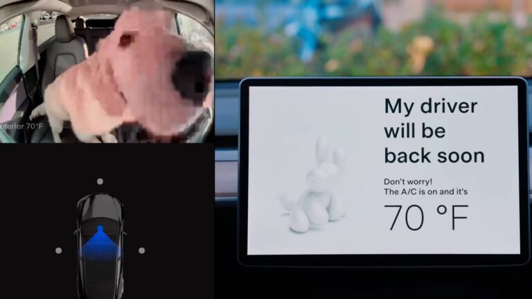 Apertura paquete tesla Vacaciones