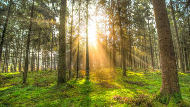 Google Maps parques apertura e1681648930555