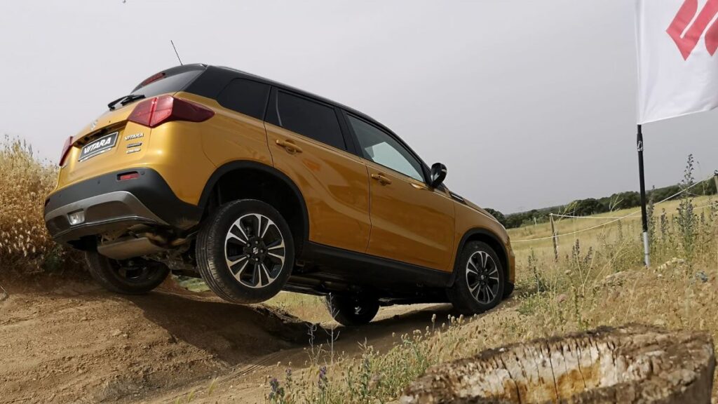Suzuki-20-aniversario