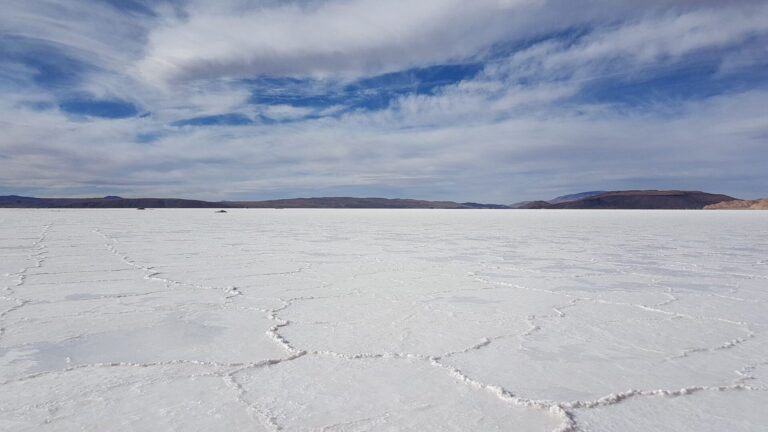 litio produccion e1686909200100