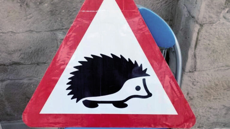 senal trafico animal erizo