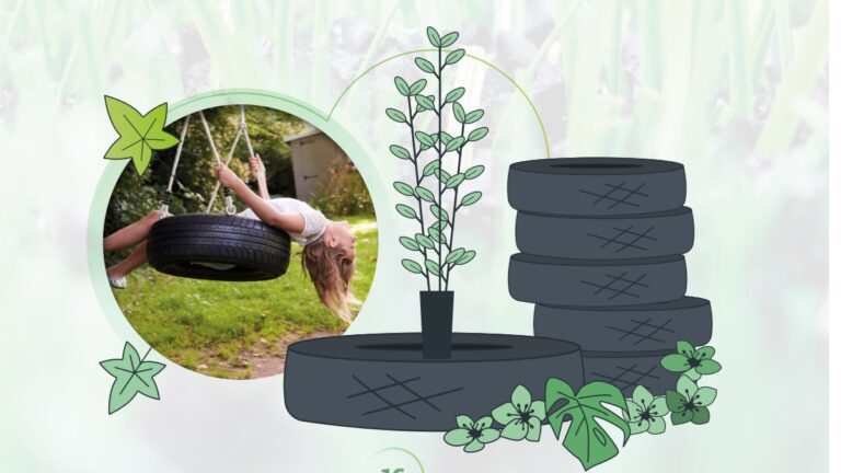 signus neumaticos columpio 1