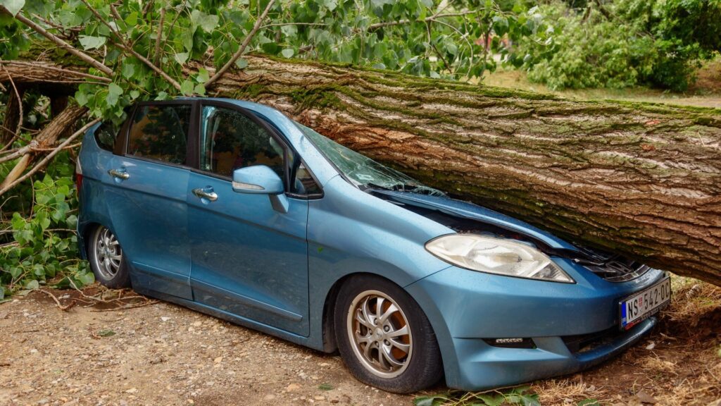 arbol-coche-istockphoto