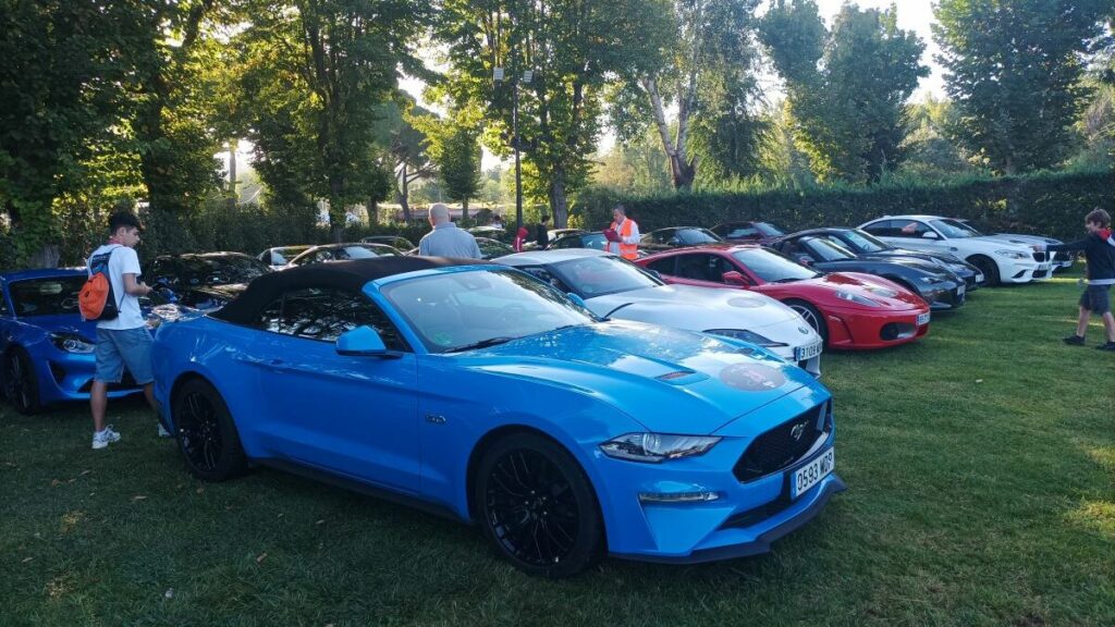 cars-for-smile-1
