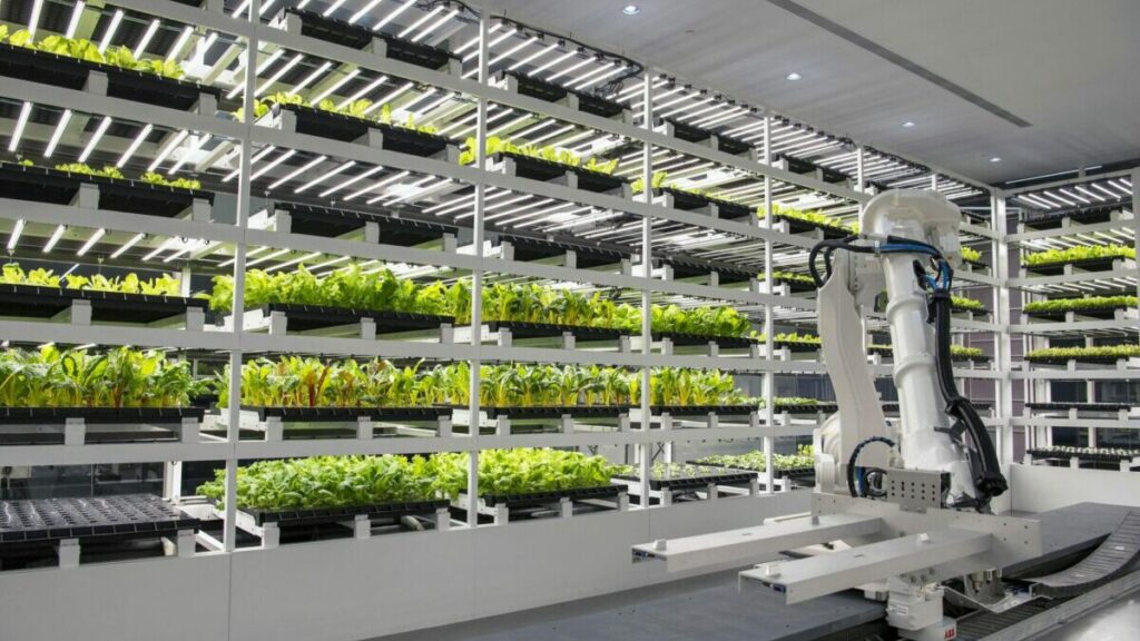Hyundai Centro de Innovación de Singapur granja (1)