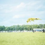 Para qué sirve el nuevo proyecto de Toyota que consiste en volar grandes cometas