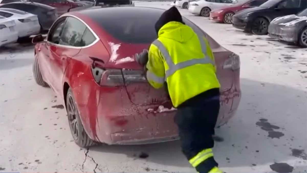 Tesla congelados Chicago